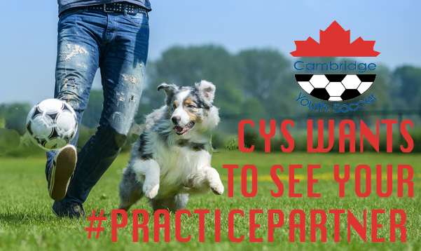 CambridgeSoccer's tweet image. Starting Tomorrow It&apos;s time to show off your at home #PracticePartner! Who are you playing soccer with this summer? Tag us in your Instagram and Facebook posts to be reposted to our page!