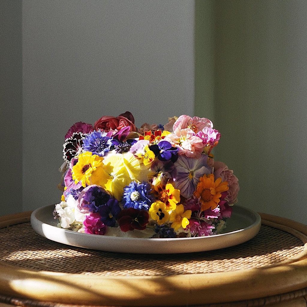 Loriley Sessions tweet media