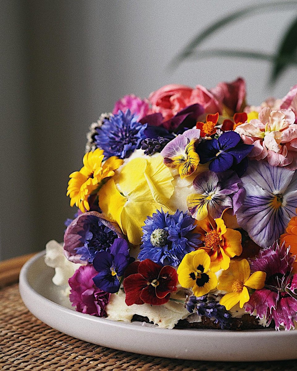 Loriley Sessions tweet media