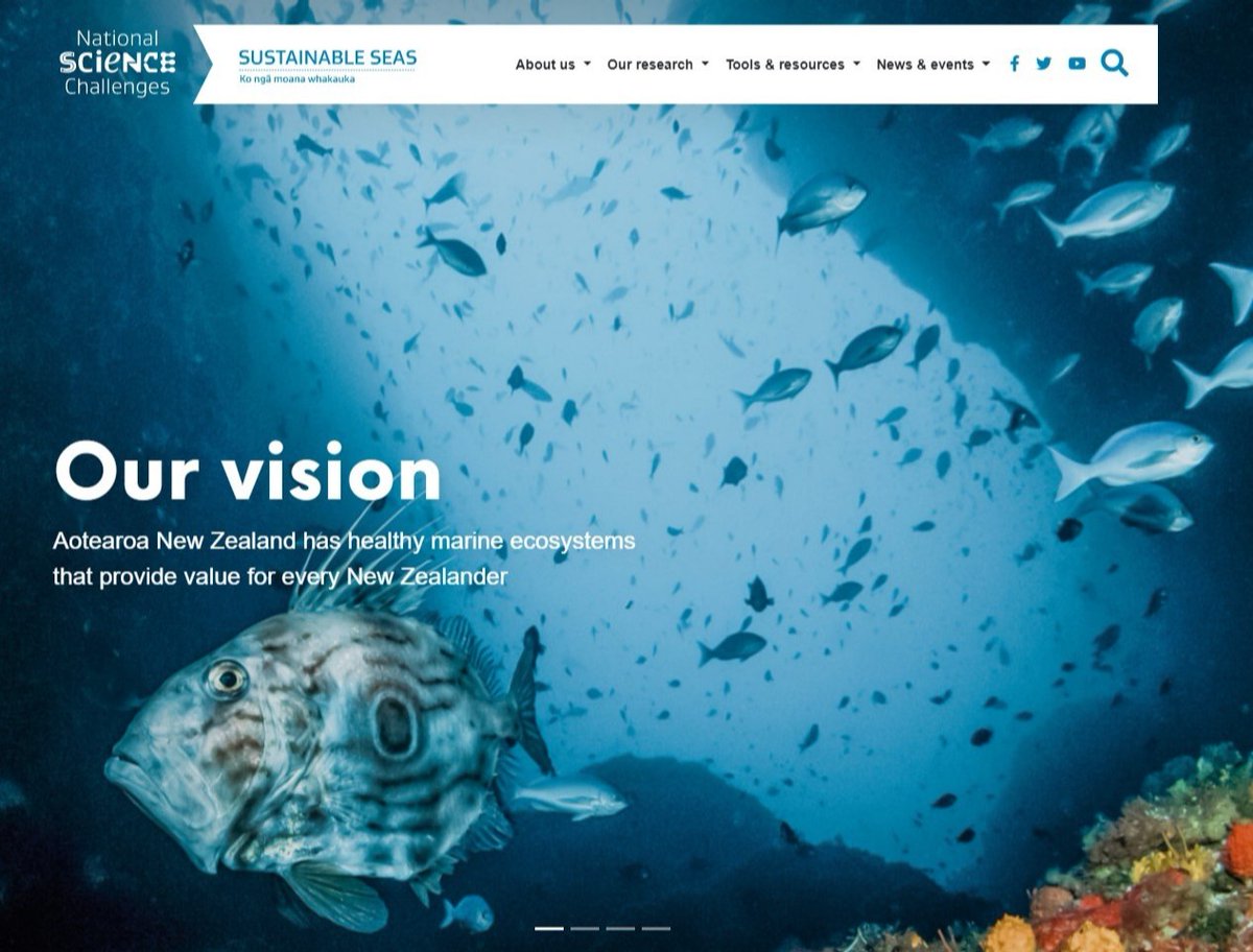 Sust_SeasNZ tweet picture