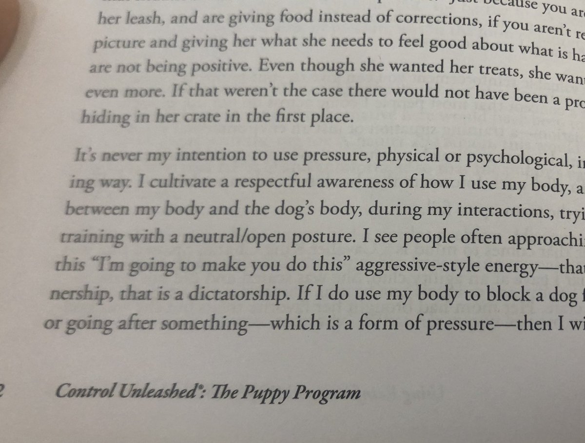 One reason I am super picky about letting people, including kids, interact with my dogs is that I have almost zero tolerance for anyone using “I’m going to make you do this” energy on anyone I consider it my job to protect. And with the dogs, talking about it isn’t an option.