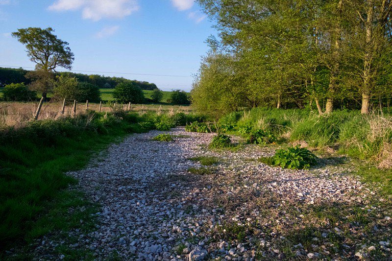 Feargal_Sharkey's tweet photo. So @thameswater spend £2.8 million just to get ride of one CEO and £12.6 million to hire another, paid over three years. Total cost £15.4 million.
  
Now how many chalk streams could you save with that I wonder? https://t.co/0aT6S9yaJI