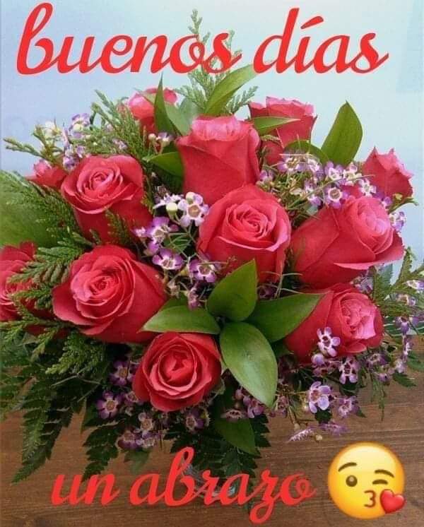 <a href="/Gla_malh/">GLA 💙💙</a> Feliz tarde,