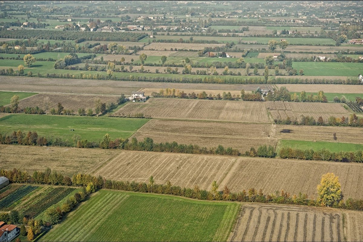 icedry75's tweet image. Comincio a credere che il problema dell'Inter sia proprio Milano, forse troppe distrazioni per giovani calciatori. Che si trasferiscano a Voghiera!!!

#inter #anala #interRotti #interIM