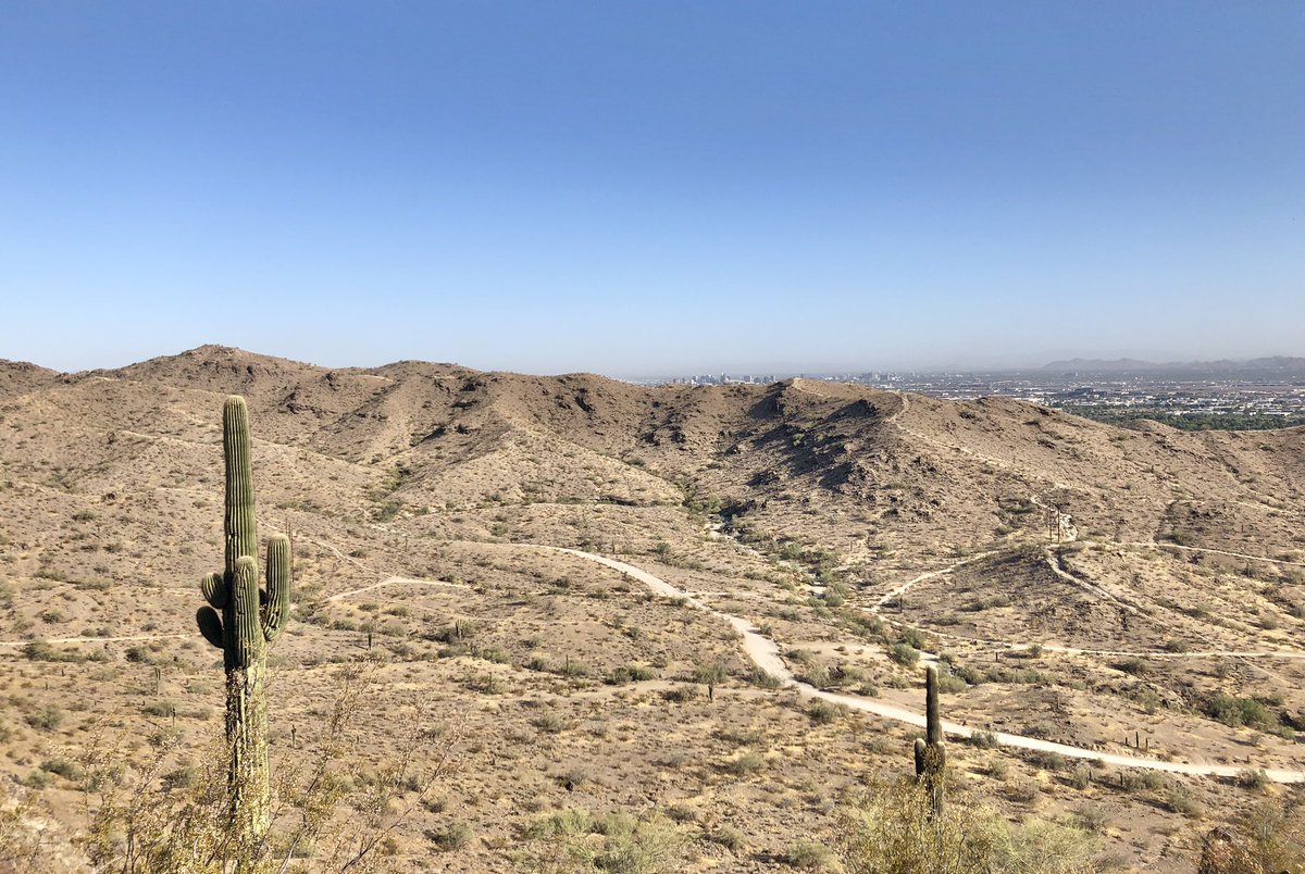 #SaguaroSunday #Saguaros #cacti #Arizona @AZStateParks