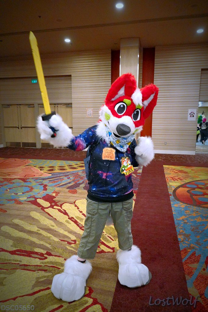 LostWolf321's tweet photo. It's Star @CreativeCriters @BiggestLittleFC #BLFC19 #BLFC2019 https://t.co/Jdel2yINhQ