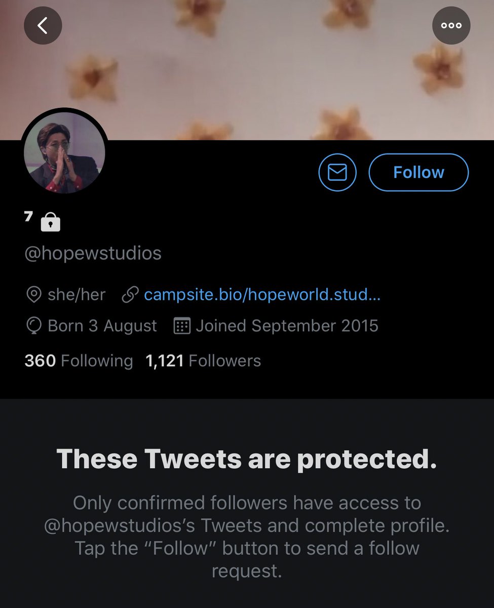 solishobi changed their @ to hopewstudios btw