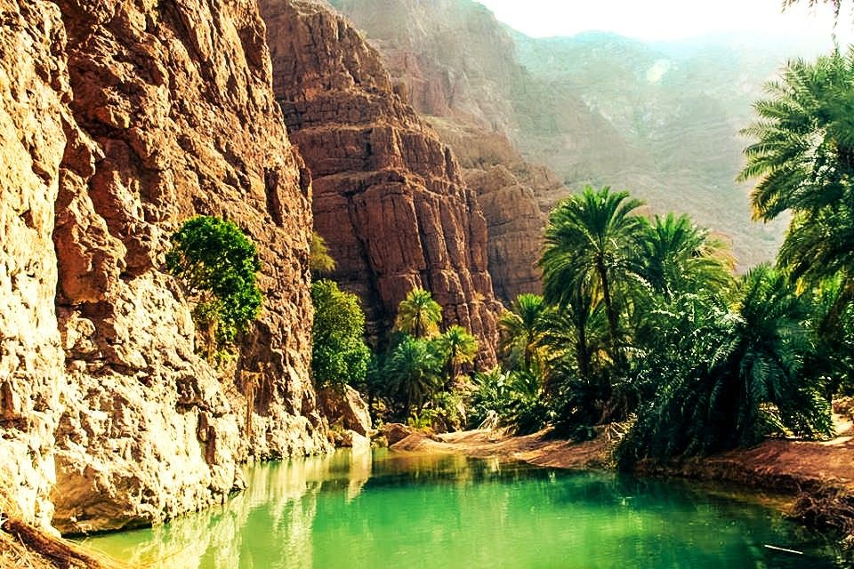 🇩🇿