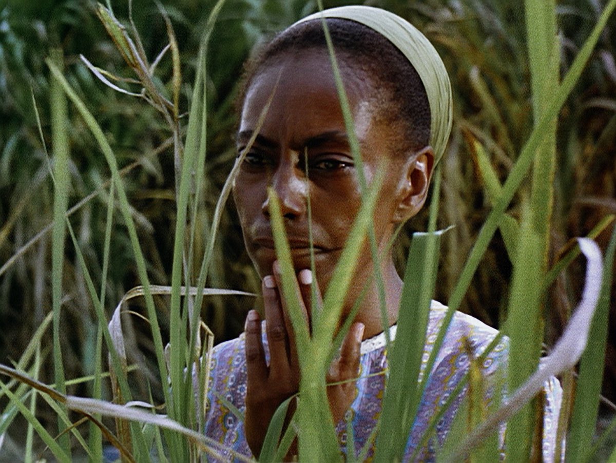 Sankofa: Shot by Ethiopian Director Haile Gerima. A model having a photoshoot in a castle in Ghana is transported into the past where she is slave. I highly recommend this. Beautiful piece of cinema. (Available on YouTube)