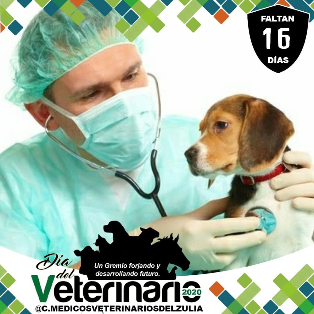 Estamos a 16 dias de Celebrar nuestro día... Pendientes desde la cuenta oficial del COLEGIO DE MÉDICOS VETERINARIOS DEL ESTADO ZULIA...
<a href="/c/">c</a>.medicosveterinariosdelzulia
.
.
Invitamos a todos los colegas a seguirnos, difundir y compartir nuestro perfil