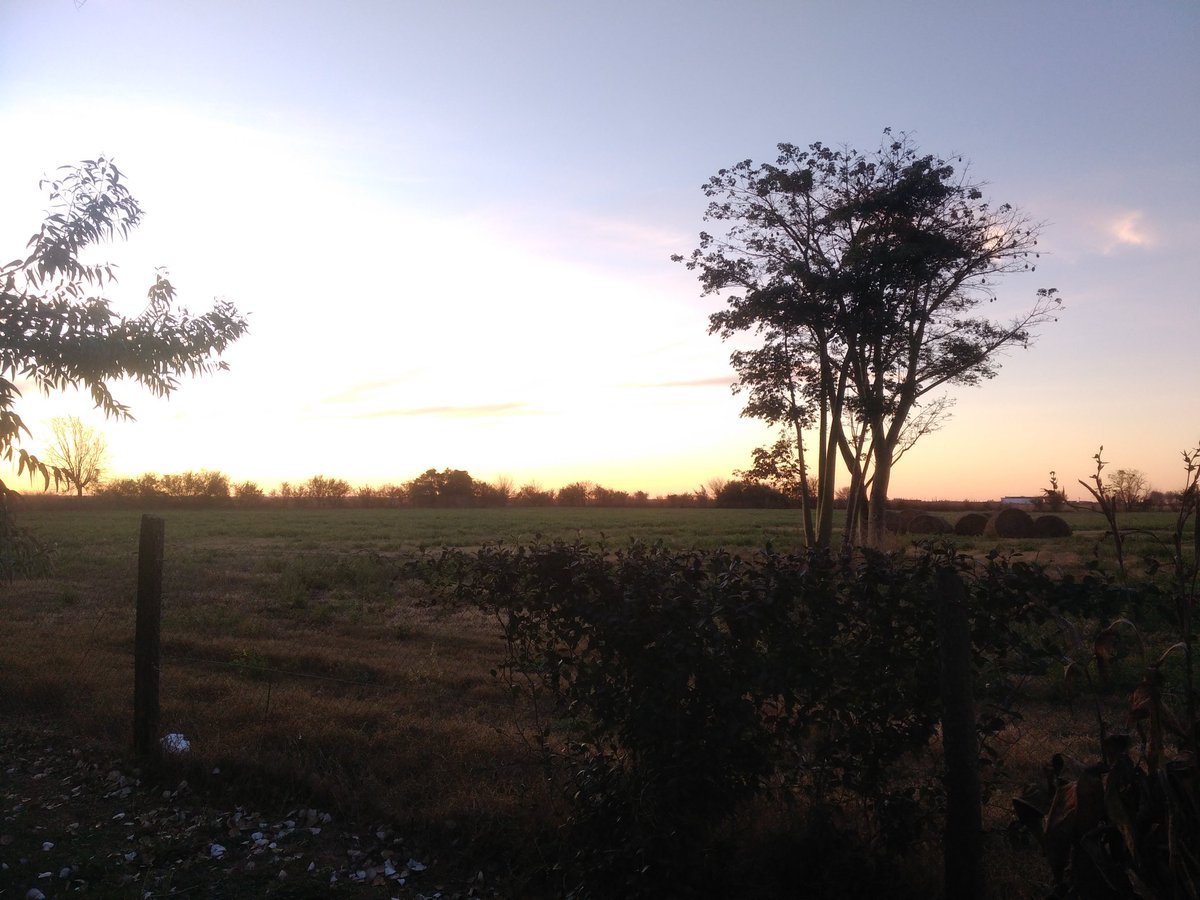 Guille_Gadea's tweet photo. Esta hora en el campo es clave para unos mates... https://t.co/3knUOZ7R4U