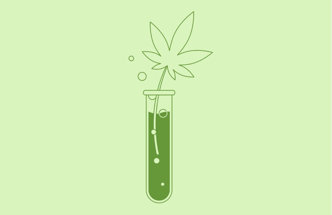 CannabisCulture's tweet photo. The Endocannabinoid System: How Cannabis Interacts With the Body #Health #endocannabinoid #science #research https://t.co/h2hOyeptD4 https://t.co/cJUBz1hL2J