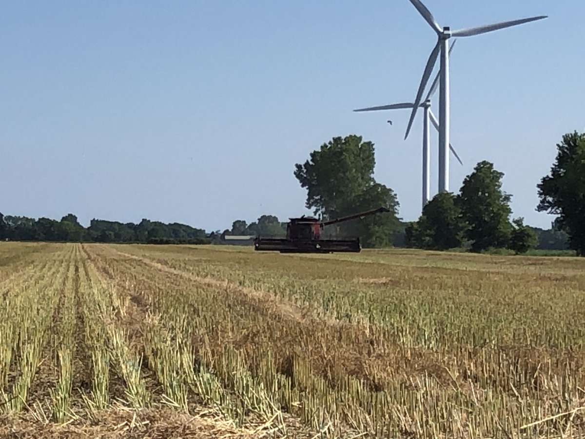 And just like that my 2nd Canola crop is off thanks to Joe and ⁦<a href="/ilerfarm/">Greg Iler</a>⁩