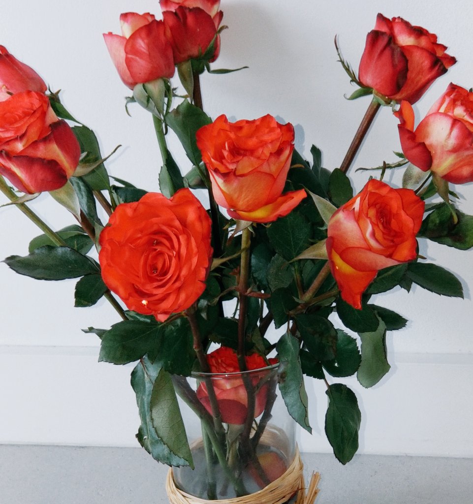 ritarowe's tweet photo. These beauties are my chosen, high vibration companions this week! Love the burnt orange vibe. #beautyeverywhere #flowersmakemehappy #keepmivibezhigh https://t.co/9gjmno2NPI