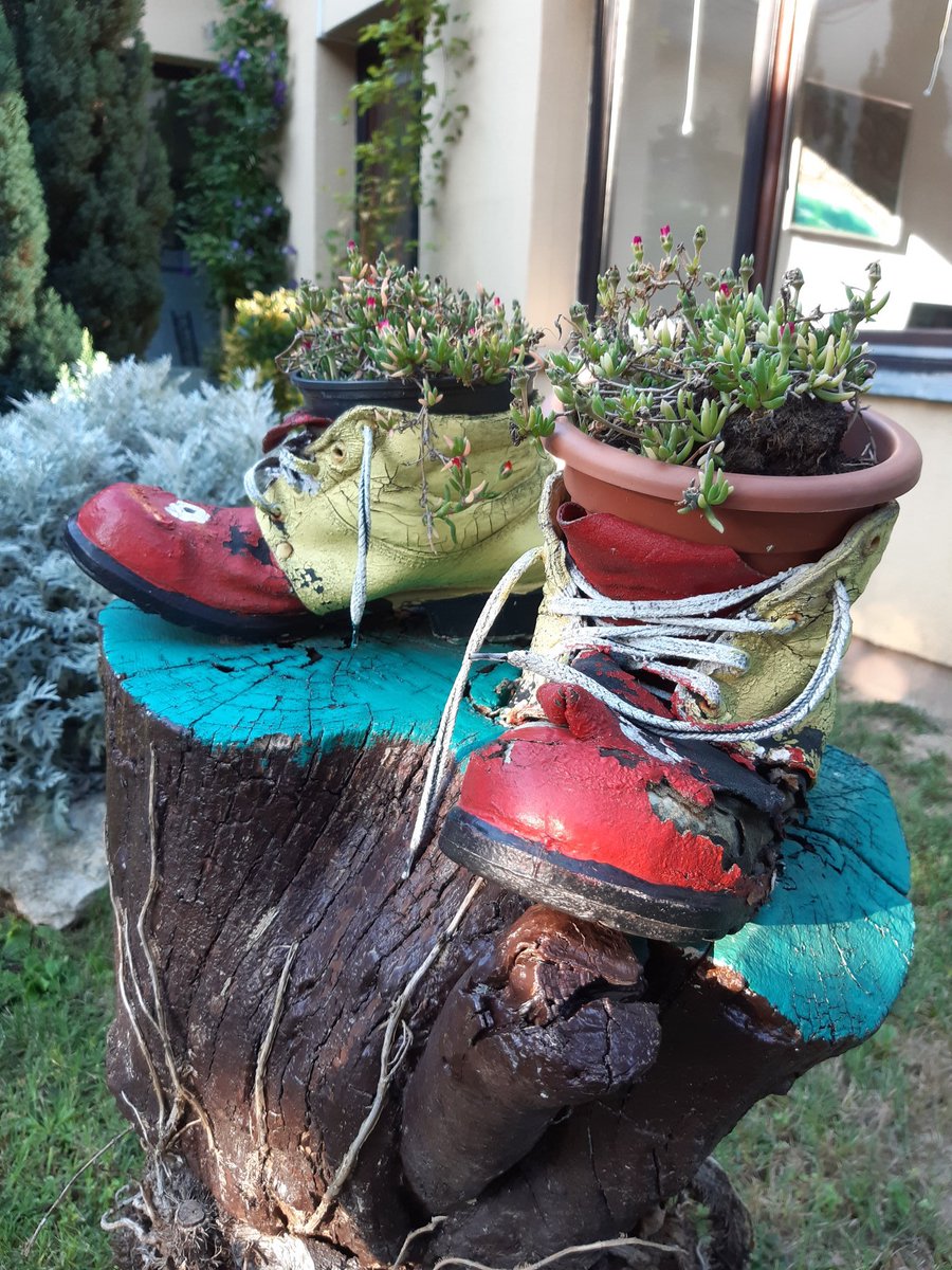 papicNET's tweet image. 8 do 12 godina još ... stižemo #izbori #izbori2020  #gravitacija #evolucija