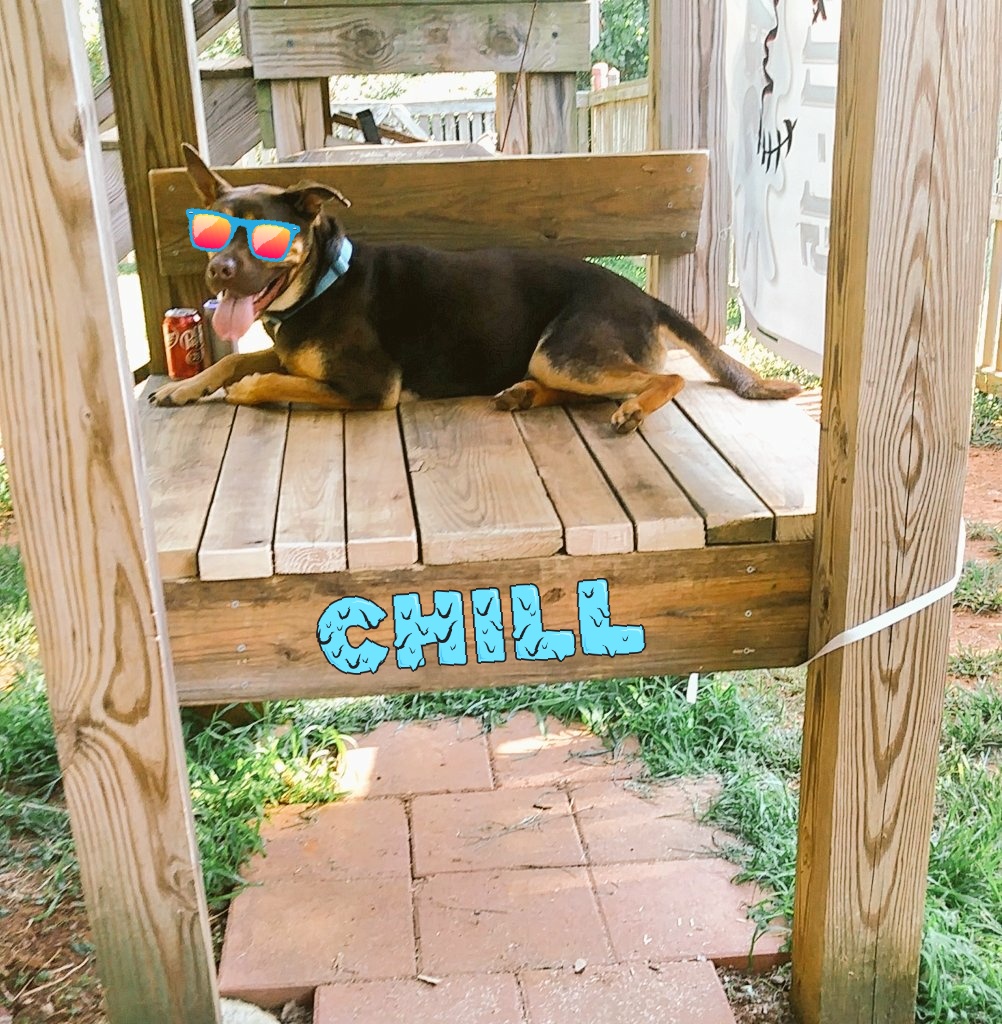 ardis_lori's tweet photo. Just finished my Puppy Wash Station project... The platform is done... &amp; a former VBS sign/ show sign i have shade too. https://t.co/ZSpko9IdmG