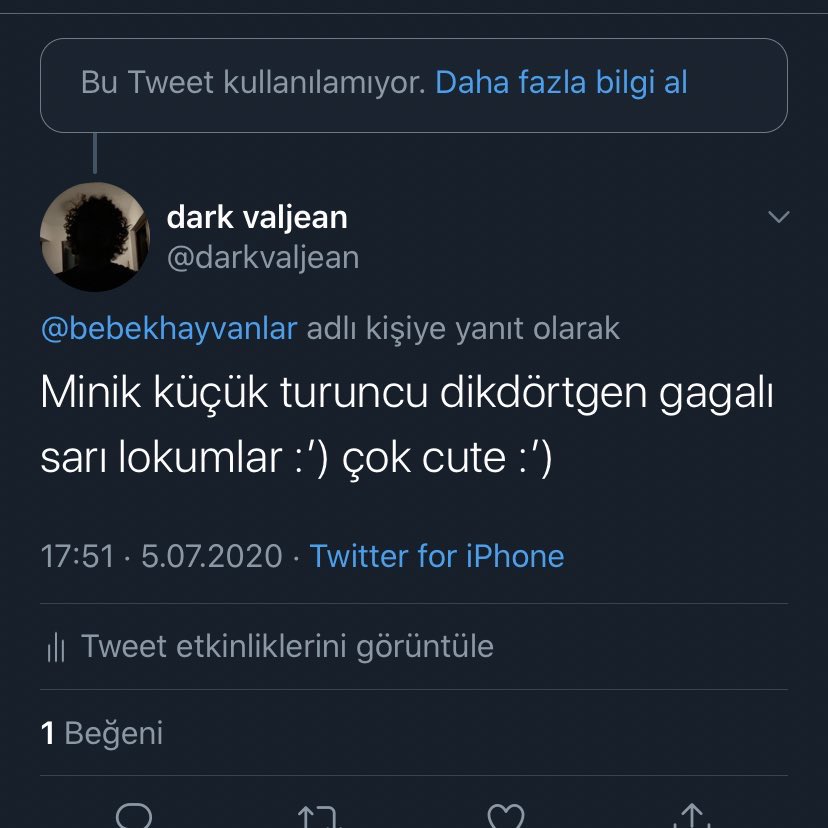 darkvaljean's tweet photo. Bebek ördeklerin fotoğraflarını neden sildiniz üzüleyim diyeyse çok üzüldüm @bebekhayvanlar 🥺 https://t.co/ldyG1JswYy