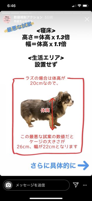 泉 麻那 Izumi Mana’s pics and videos