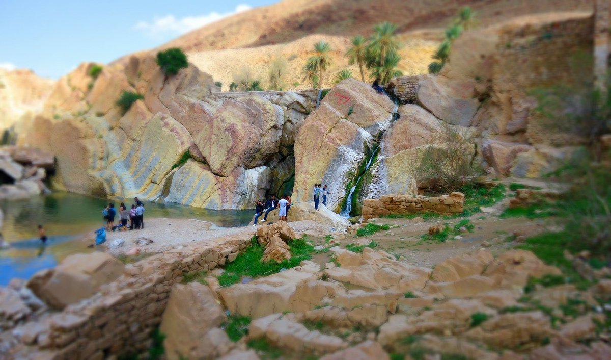 🇩🇿