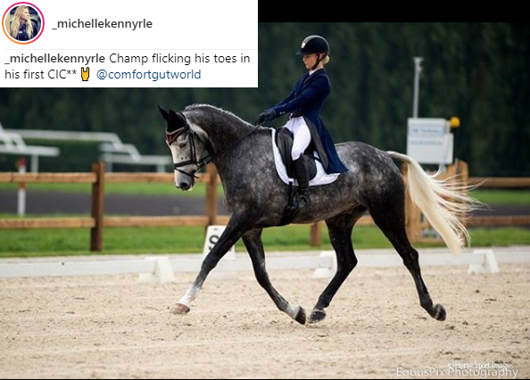 ComfortGutWorld's tweet photo. #ComfortGut can play a role in helping to maintain healthy gastric acid levels and can be fed long term without disrupting acid production which is required to break down food for proper digestion &amp; absorption of nutrients #horsechathour #emeraldbalms #equineblogger https://t.co/PtOjf8mCuS