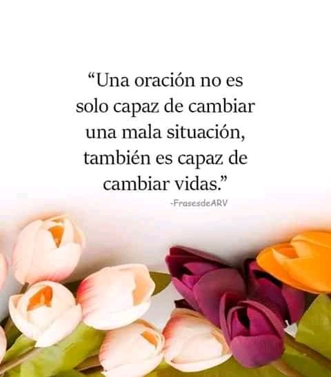Elavelde Flores tweet media