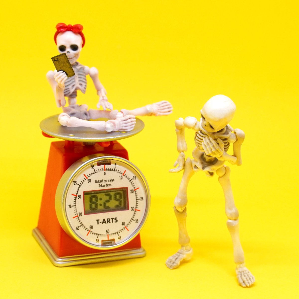 Mandom5354's tweet photo. 【#得棚骨的故事 220】
8月29日?
8點29分?
8kg29g?
💀💀💀💀💀💀
#ポーズスケルトン #PoseSkeleton #スケルトン #Skeleton #Bone #フィギュア #figure #宅
#おもちゃ #toy @pose_skeleton
Photo in #Foldio https://t.co/fY8YckVeQd