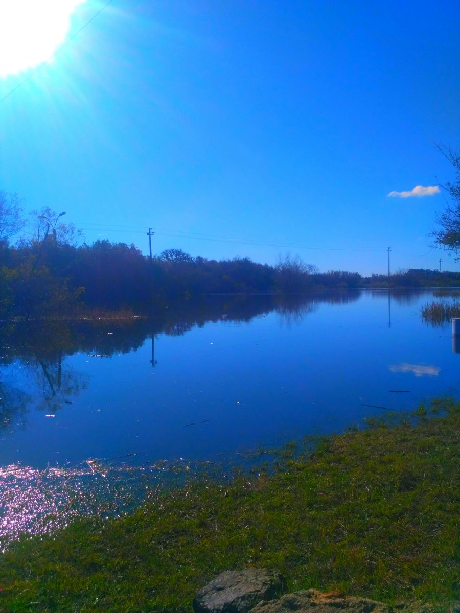 Rositaazul7's tweet photo. #NaturePhotography .
Eres tan hermoso y perfecto cautivante!!
Un combo perfecto !!
#Reflejos.
#Azulvida. https://t.co/FKhi6g5Evv