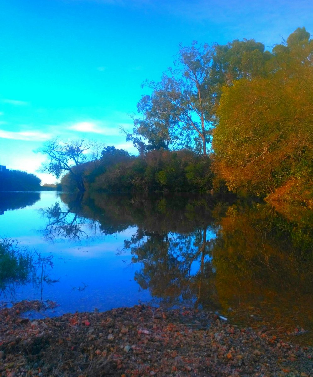 Rositaazul7's tweet photo. #NaturePhotography .
Eres tan hermoso y perfecto cautivante!!
Un combo perfecto !!
#Reflejos.
#Azulvida. https://t.co/FKhi6g5Evv