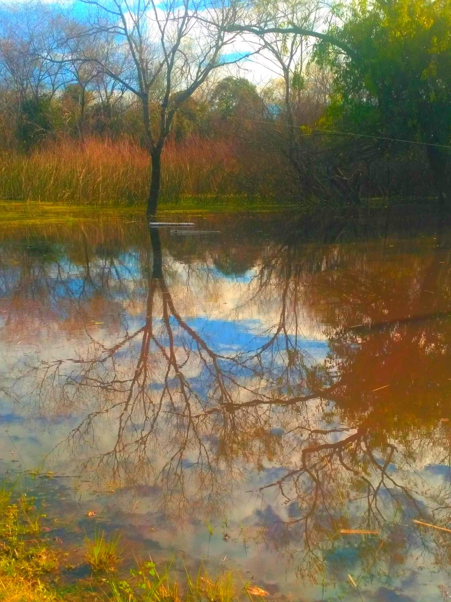 Rositaazul7's tweet photo. #NaturePhotography .
Eres tan hermoso y perfecto cautivante!!
Un combo perfecto !!
#Reflejos.
#Azulvida. https://t.co/FKhi6g5Evv