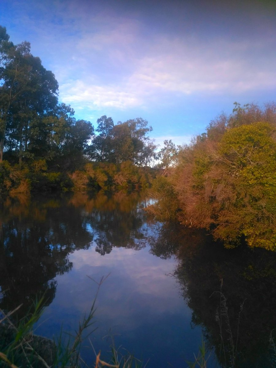 Rositaazul7's tweet photo. #NaturePhotography .
Eres tan hermoso y perfecto cautivante!!
Un combo perfecto !!
#Reflejos.
#Azulvida. https://t.co/FKhi6g5Evv