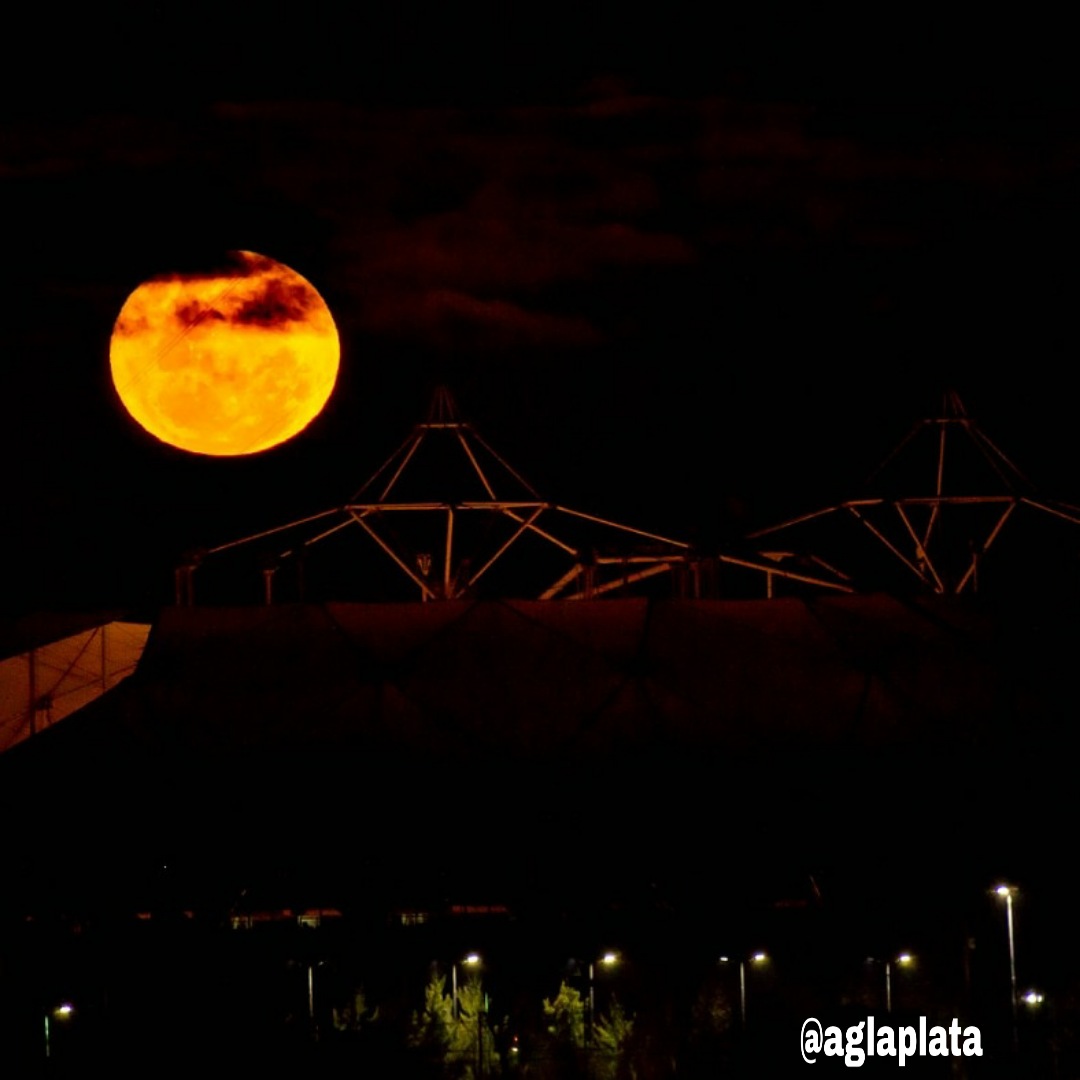 aglaplata tweet media