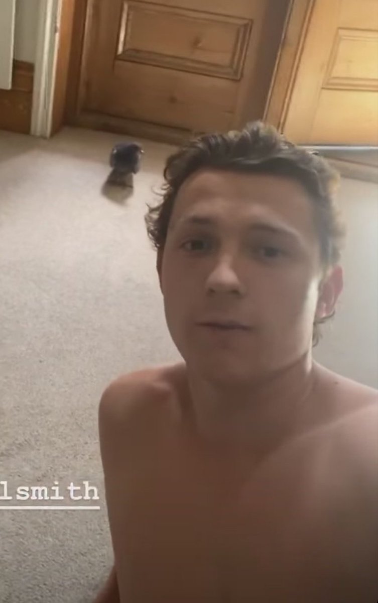 tom holland during quarantine; a necessary thread