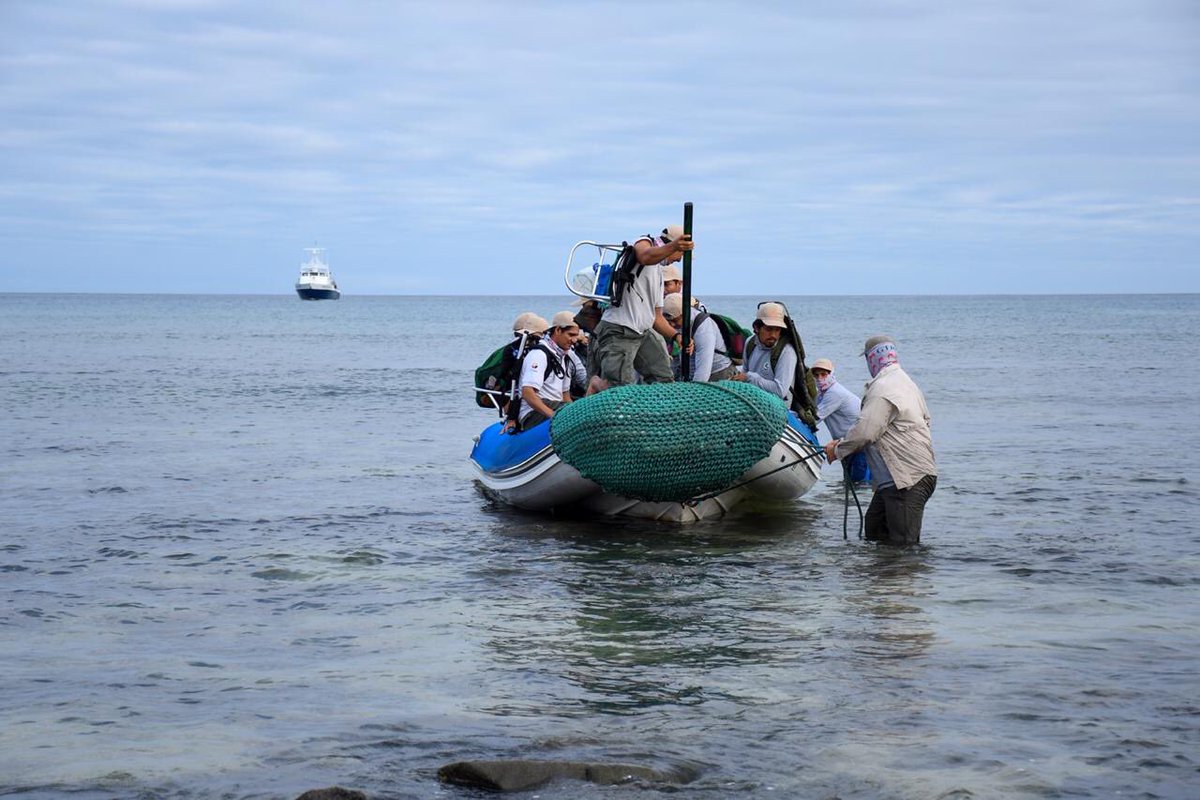 wacho_tapia's tweet photo. Feliz día a los valientes guardaparques del Parque Nacional Galápagos. aquellos con quienes tengo el privilegio de contribuir para lograr la sostenibilidad de Galápagos. Es un honor trabajar con ustedes en cada rincón de nuestro amado archipiélago https://t.co/yXAhIQwQQz