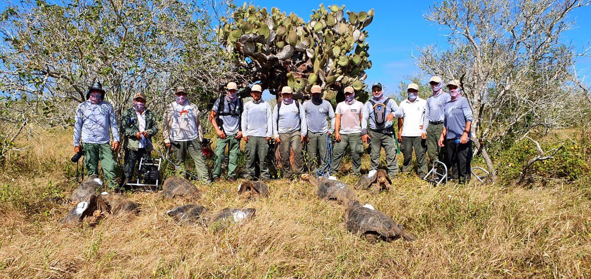 wacho_tapia's tweet photo. Feliz día a los valientes guardaparques del Parque Nacional Galápagos. aquellos con quienes tengo el privilegio de contribuir para lograr la sostenibilidad de Galápagos. Es un honor trabajar con ustedes en cada rincón de nuestro amado archipiélago https://t.co/yXAhIQwQQz