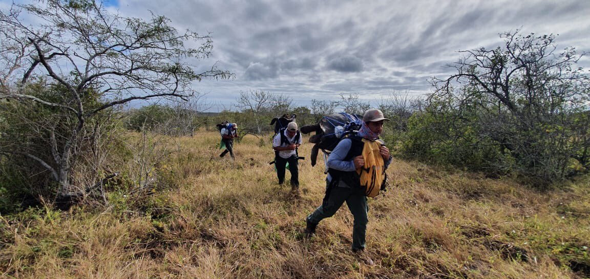 wacho_tapia's tweet photo. Feliz día a los valientes guardaparques del Parque Nacional Galápagos. aquellos con quienes tengo el privilegio de contribuir para lograr la sostenibilidad de Galápagos. Es un honor trabajar con ustedes en cada rincón de nuestro amado archipiélago https://t.co/yXAhIQwQQz