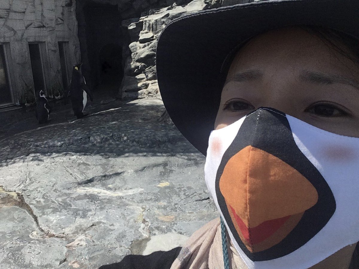 salonpenguin's tweet photo. おはようございます😃
昨日旭川動物園でペンギン🐧マスクをゲットしました！
着ける勇気があるかはビミョウですが。
今日もいい一日をお過ごし下さい！ https://t.co/g2oZi5HwvG
