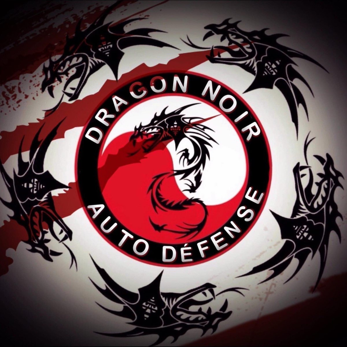 Dragon__Noir's tweet photo. Cours d’autodéfense à Val-d’Or en Abitibi-Témiscamingue #KravMaga Club d’arts martiaux Dragon Noir de #Valdor #DragonNoirAutodéfense #SelfDéfense DNA 2020  Conditionnements physique #KravFit #PNL #Entrainement #Québec #KMFACQC https://t.co/aPPUodY53F