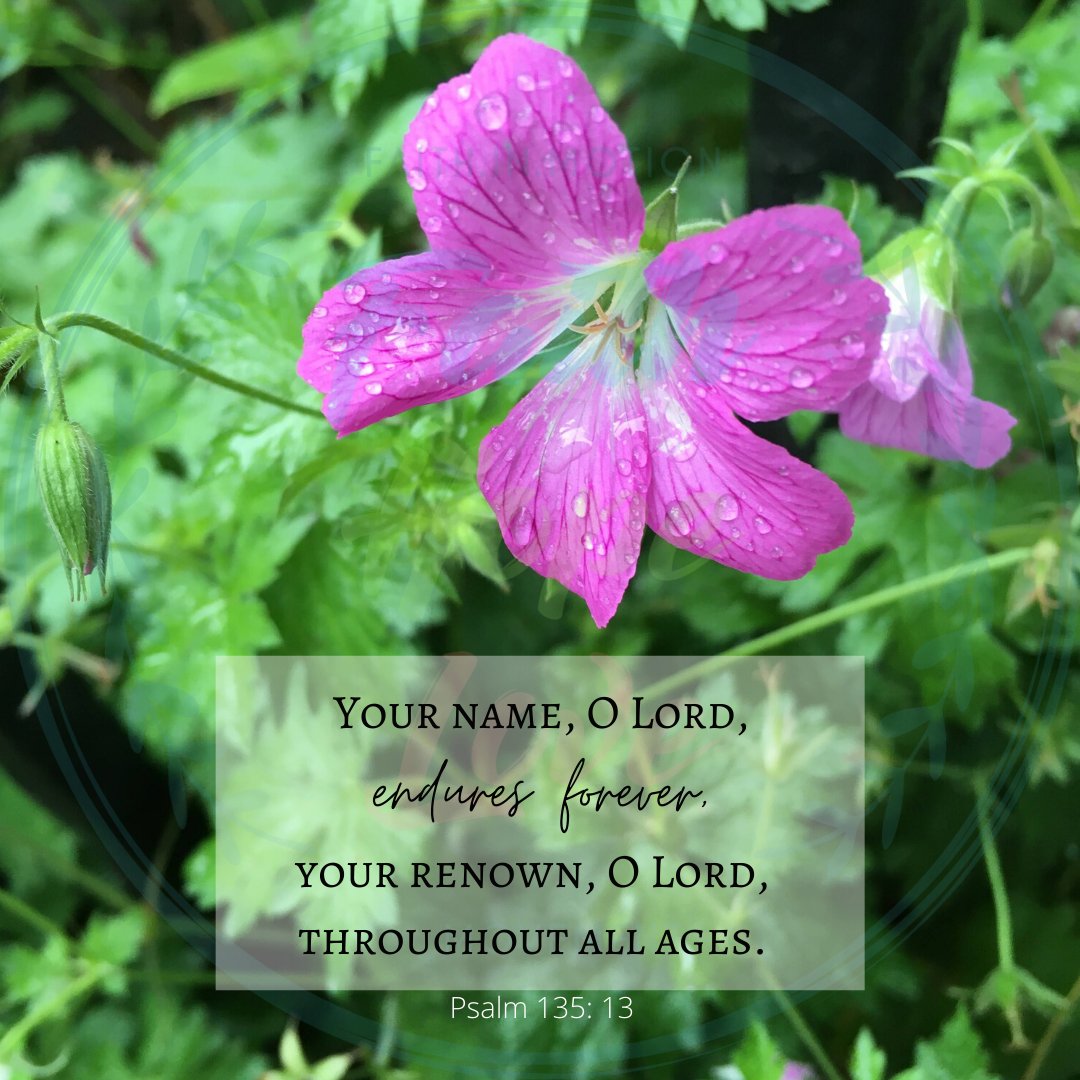 fhlmovementorg's tweet photo. Your love endures forever, Lord. There is power in your mighty name! There is strength and grace that flows from you. Blessed are you forever!
#faithhopelove #faithhopelovemovement #awesomegod #faithfulgod #promisekeepinggod #givethanks #almightygod #goodandgracious #godslove https://t.co/RvScFHTyPU