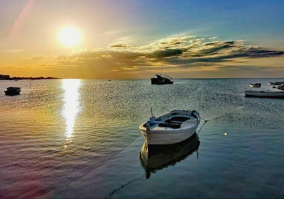 Day 7/7 😉 #mylifeinpictures. No people, no description. Challenge someone everyday. I was challenged by <a href="/bouba2508/">Boubaker Agal</a> and <a href="/ChaffaiHend/">hend chaffai</a>  and today i challenge <a href="/AbirBrahim3/">Abir Brahim</a>