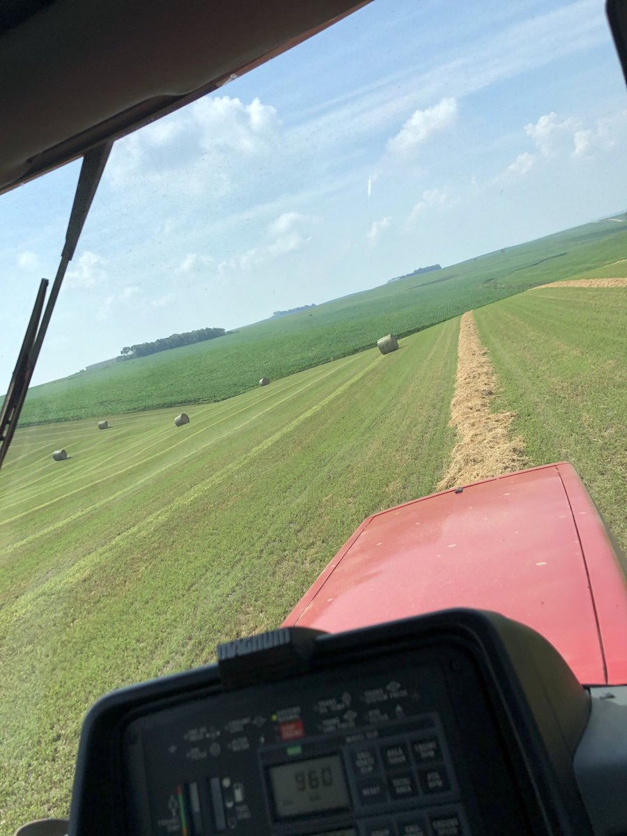 BtotheRyan6's tweet photo. Keeping our cattle feeders going! Your 🐮cattle should enjoy this cutting! ⁦@DougRuskamp⁩ https://t.co/zb9hRpCdZn