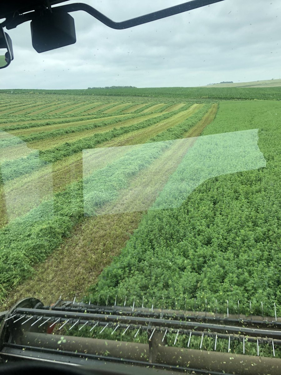 BtotheRyan6's tweet photo. Keeping our cattle feeders going! Your 🐮cattle should enjoy this cutting! ⁦@DougRuskamp⁩ https://t.co/zb9hRpCdZn