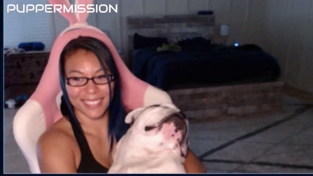 The Adventures Of  @MiaYim The Stan Man and Puppy! (A Thread)
