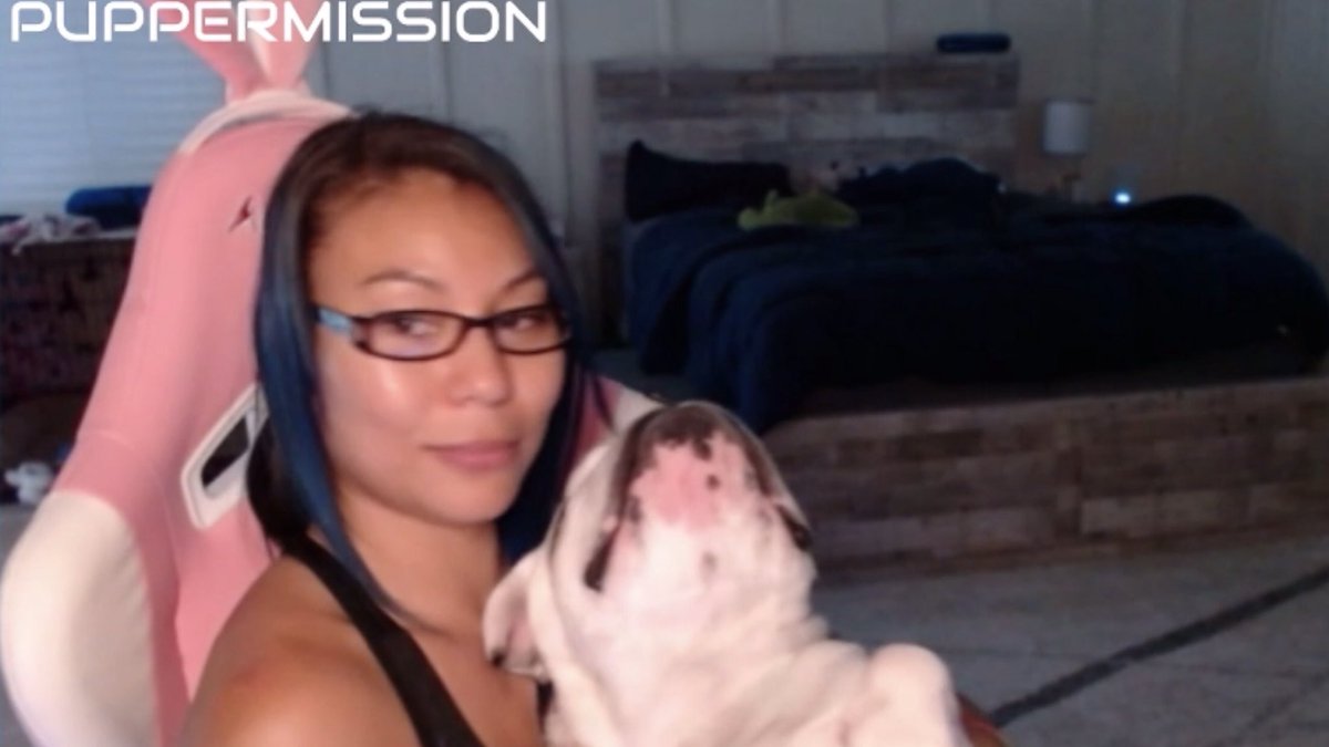 The Adventures Of  @MiaYim The Stan Man and Puppy! (A Thread)