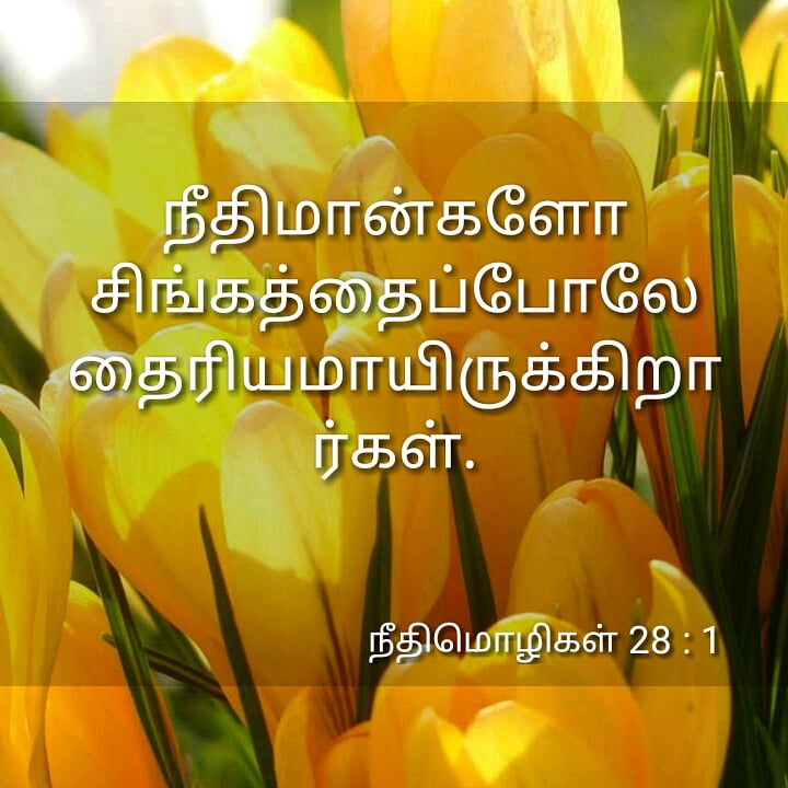 ivannasalomi's tweet photo. Today promise (6/7/20) #SharetoGospel #Todaymanna #JesusChrist #Jesussavesyou #blessedmondayyyy #Godbless #Faith #hapinesss #Jesusiseverything #Godslove #AlwayshappywithChrist #spreadlove #positivevibes #covid19 https://t.co/U2i0Ww8O4Y