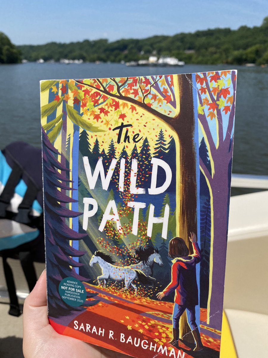MrsHornick's tweet photo. Finished this 1 in my fav reading nook - such an important message to readers about the struggles loved ones face & how to both help & handle those struggles. I will be adding this to my classroom library. #BookPosse @sarahrbaughman @LittleBrownYR #TheWildPath https://t.co/CpGjpiMHb8