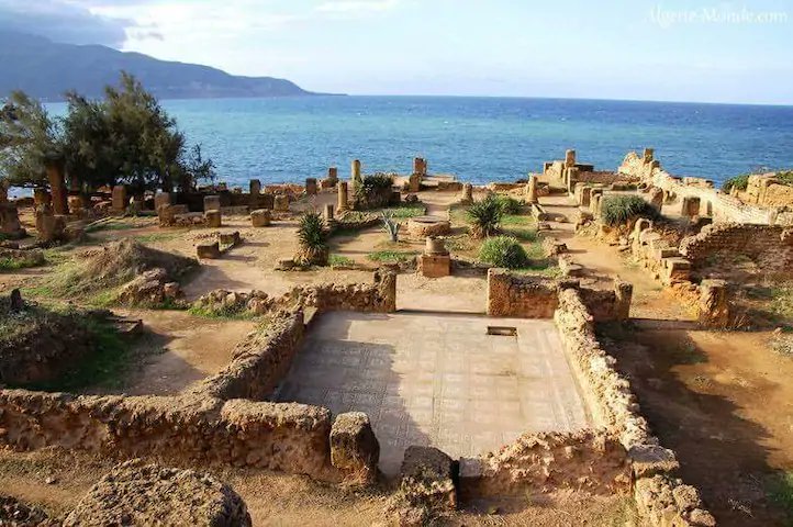 🇩🇿