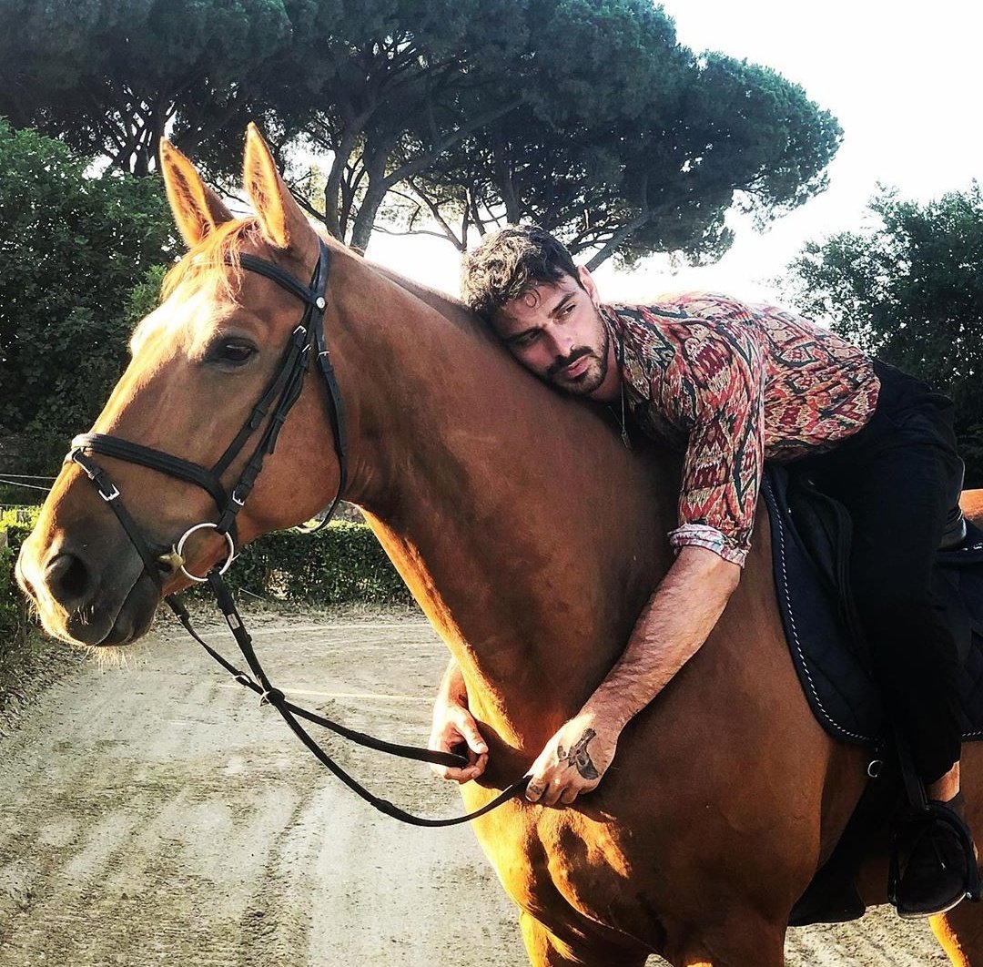 morroneoficial's tweet photo. @NetflixLAT 🇮🇹🐴 https://t.co/Ccf2way8Dg