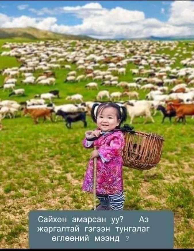 Аялах дуртай нэгэн (@traveller_dtt) on Twitter photo 