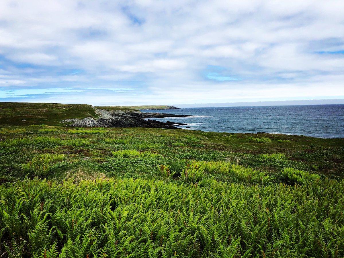 kimmy 🍁🇨🇦 tweet media