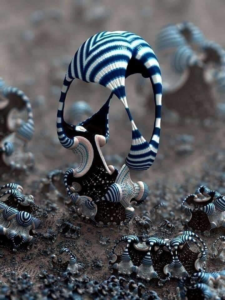 Nnedi's tweet photo. This is allegedly a new species of coral that has arrived (👽)...I mean, that has, uh, been found near the Galápagos Islands. https://t.co/bMZ3emaQnQ